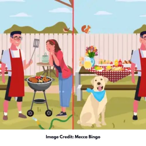 20 Seconds Challenge: Family BBQ Optical Illusion Mein 12 Hidden Differences!