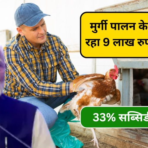 Poultry Farm Loan Yojana 2024: 9 लाख रुपये तक का लोन और 33% सब्सिडी के साथ मुर्गी पालन व्यवसाय शुरू करें