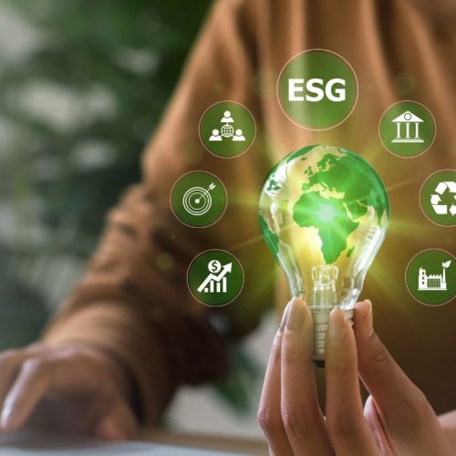 ESG Stocks का मूल्यांकन कैसे करें: 2024 में Sustainable Investing के लिए गाइड