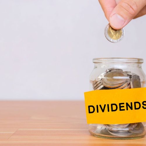 2024 में अपने पोर्टफोलियो में Growth और Dividend Stocks का संतुलन कैसे बनाएँ